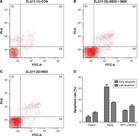 Identification Of Lncrnas Involved In Biological Regulation In Early