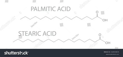 Palmitic Acid Stearic Acid Molecular Skeletal Stock Vector Royalty