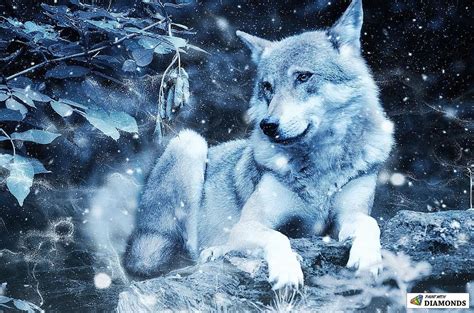 In The Cold Snow Mystical Animals Animals Wolf Wallpaper