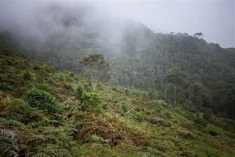 Instituto Humboldt On Twitter Biodiversidadunanota Inicia En