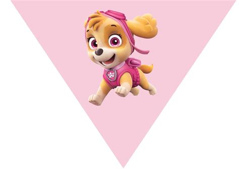 Download Skye Paw Patrol Wallpaper