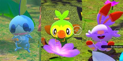 New Pokémon Snap Where To Find The Galar Starters