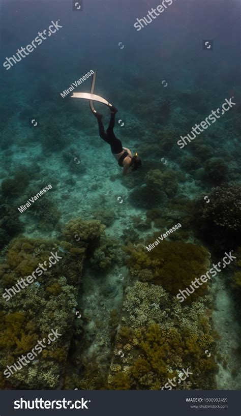 Sexy Girl Wearing Bikini Freediving Down写真素材1500992459 Shutterstock