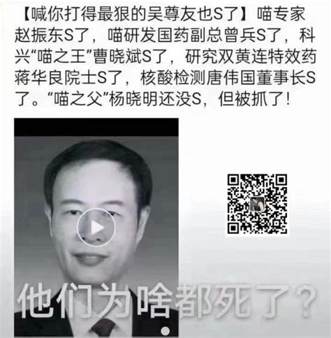 鹅鹅，这张图里的“喵”指什么，它表达的什么意思？ Rliberalgoosegroup