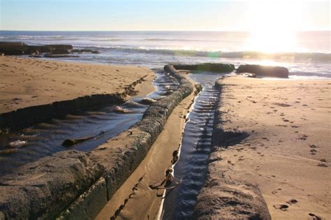 Davenport Landing Beach in Davenport, CA - California Beaches