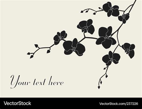 Orchid Flowers Vector Images Over 18 000