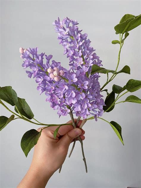 Pin by Альбина on Бумажный цветок | Paper flowers, Giant paper flowers ...