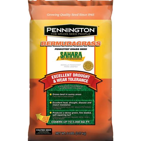 Shop Pennington Sahara 5-lb Bermuda Grass Seed at Lowes.com