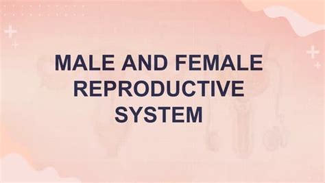 The Human Reproduction Systempptx