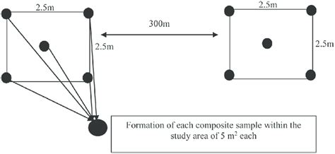 Composite Sample Collection within the Sampling Sites. | Download Scientific Diagram