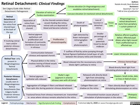 Retinal Detachment Clinical Findings Calgary Guide