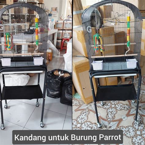 Jual Kandang Burung Parkit Lovebird Sun Conure Falk Dll Kab