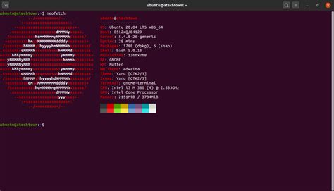 How To Install Neofetch On Ubuntu 20 04 Tool To Display System