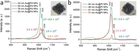 Raman Spectra Of Diluted Pyridine On Plasmonic Porous Ceramics