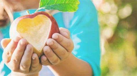 CONSIGLI PER UN ALIMENTAZIONE SOSTENIBILE