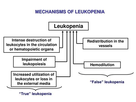 Ppt Leukocytosis Leukopenia Powerpoint Presentation Free Download Id 9557152