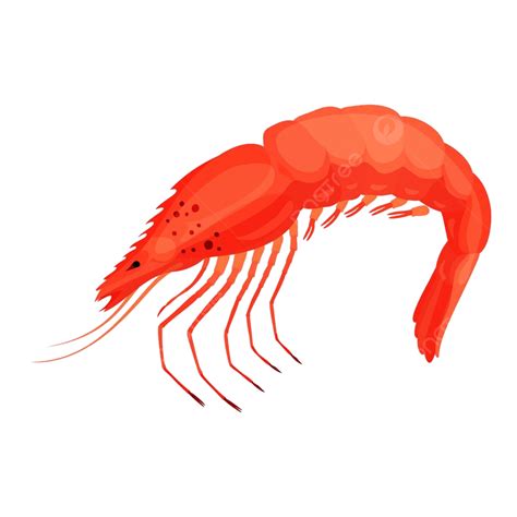 Raw Shrimp Png Vector Psd And Clipart With Transparent Background