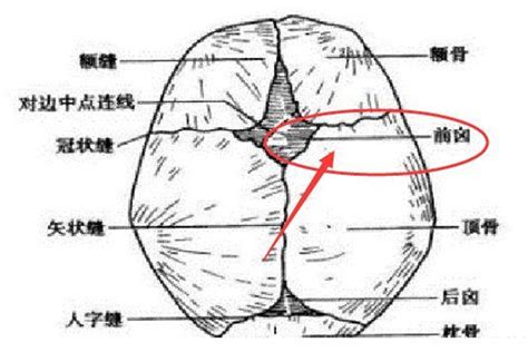 婴儿后脑勺有凹陷图片（孩子头部有） 幼儿百科 魔术铺