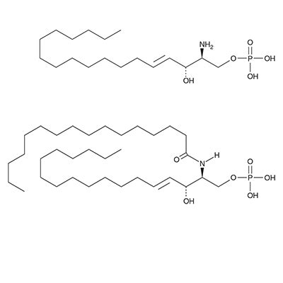 Sphingosine Phosphate And Ceramide Phosphate Summary Img Png