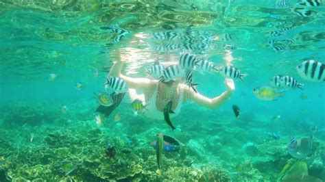 Snorkel Swim And Nude Woman In Tropical Water On Vacation Free Diving