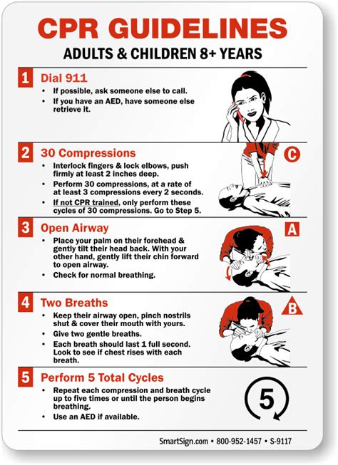 Latest Cpr Guidelines 2024 Jodie Lynnett