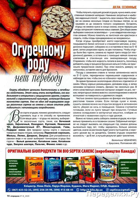 Огородник № 7-8 июль-август 2020 * Переделки.РуПеределки.Ру