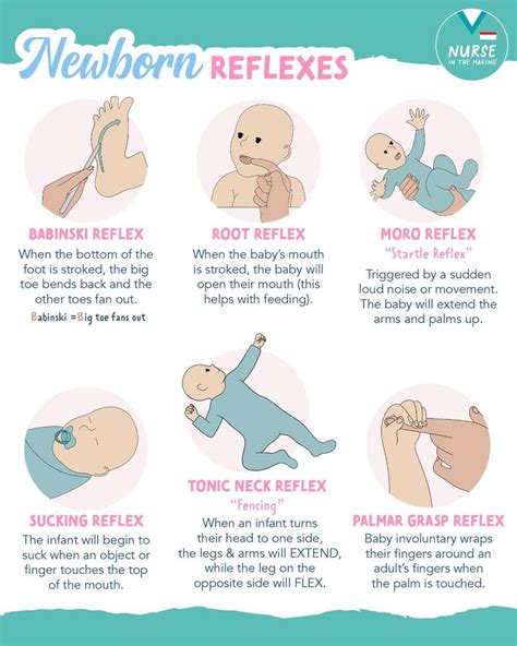 Newborn Reflexes Are Involuntary Nurse In The Making Facebook