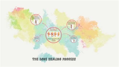 The 4 Stages Of Bone Healing by on Prezi