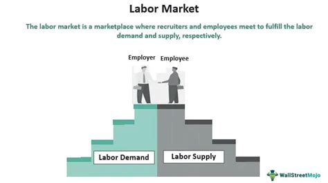 Labor Market Explained Theories And Who Is Included 53 Off