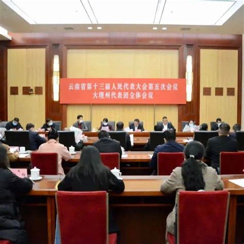 省十三届人大五次会议大理代表团举行全体会议大会主席团政治纪律