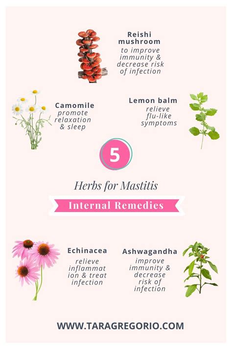 5 Natural Remedies For Mastitis — Tara Gregorio — Tara Gregorio Mastitis Remedies Mastitis