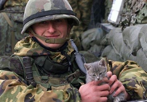 20 Heartwarming Photos Of Soldiers Who Adopted Cats On Duty Cat