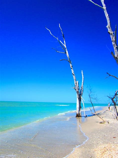 Englewood, Florida. our favourite beach in the USA #EnglewoodFL # ...