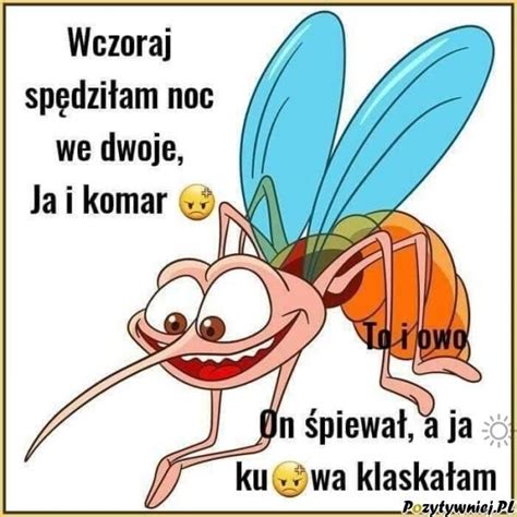 śmieszne Zdjęcia Fajne Obrazki Fotki Kawały Humor Memy I Teksty Fb