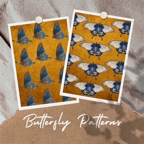 12 Vintage Butterfly Illustration Patterns Master Bundles