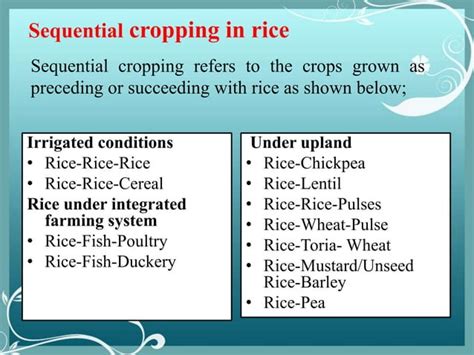 Rice Based Cropping System Ppt