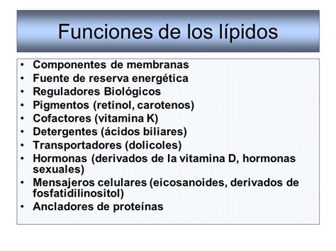 Función De Los Lípidos En El Organismo Ejemplos De