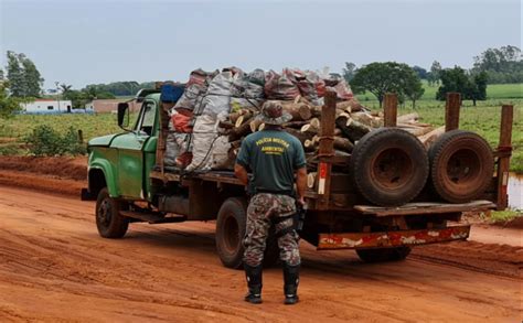 Pma Apreende Caminh O Carv O E Lenha Ilegal E Aplica Multa De Mais