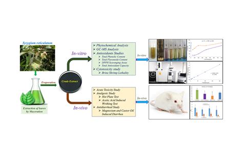 Phytochemical Screening Gc Ms Analysis And Evaluation Of Antioxidants