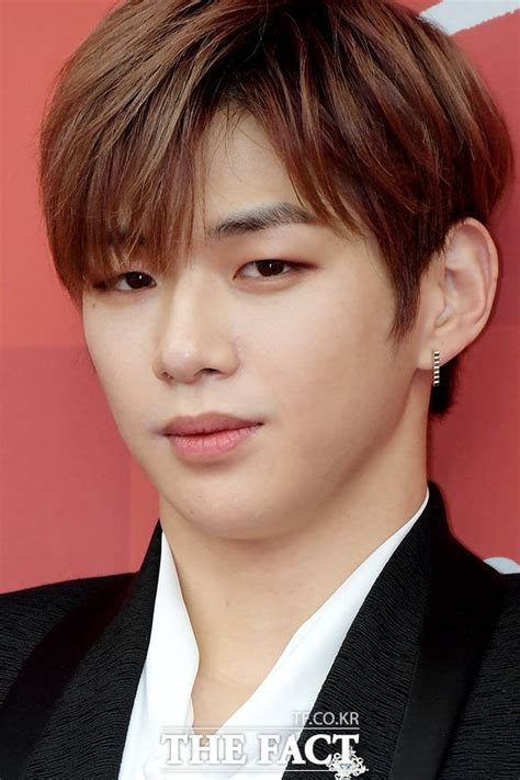 Tf현장 강다니엘 Vs Lm엔터테인먼트 법정서 팽팽 사회 기사 더팩트