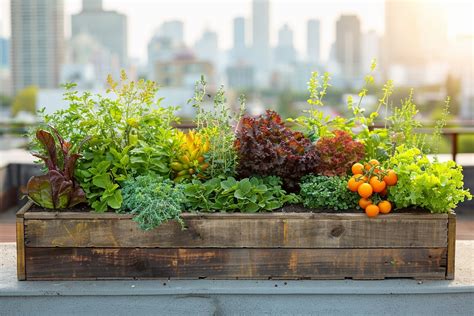 Ces Conseils Pour Am Nager Un Coin Potager Dans Un Petit Espace