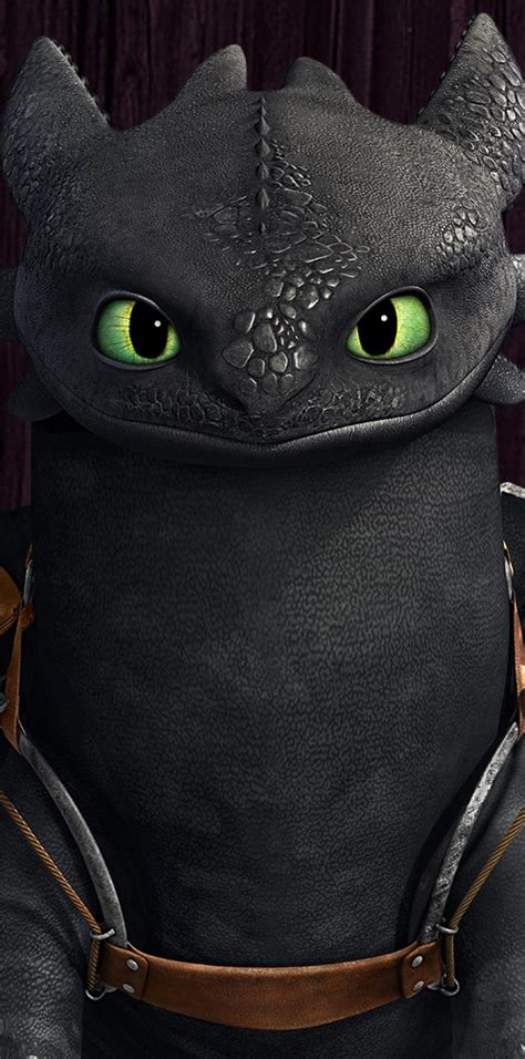 Toothless Dragon Face