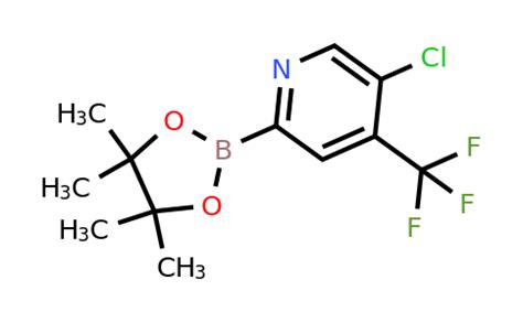 Chloro Trifluoromethyl Pyridin Yl Boronic Acid Pinacol Ester