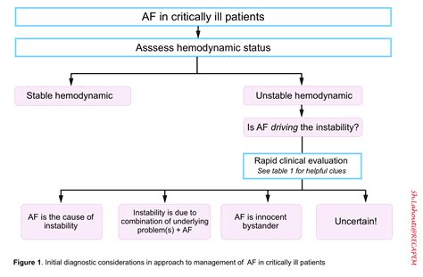 Atrial Fibrillation With Rapid Ventricular Response 40 Off