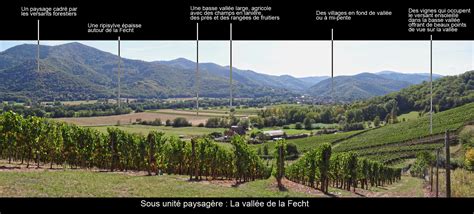 La vallée de Munster ou vallée de La Fecht Atlas des paysages d Alsace