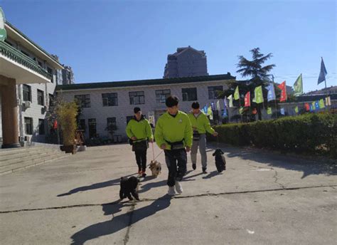 圣宠训犬师学校的教学实力怎么样？ 「圣宠训犬师学校」训犬师培训班犬行为驯导学校颁发国家职业训犬师资格证