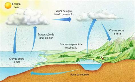 Concepto Ciclos Biogeoquimicos Images And Photos Finder