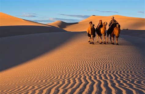 Southern Mongolia Gobi Desert Mongolia Short Tours Agency