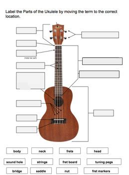 Results For Parts Of The Ukulele Worksheet Tpt