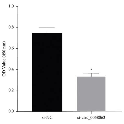 Knockdown Circ 0058063 Effect On RPMI8226 Cell Proliferation X S